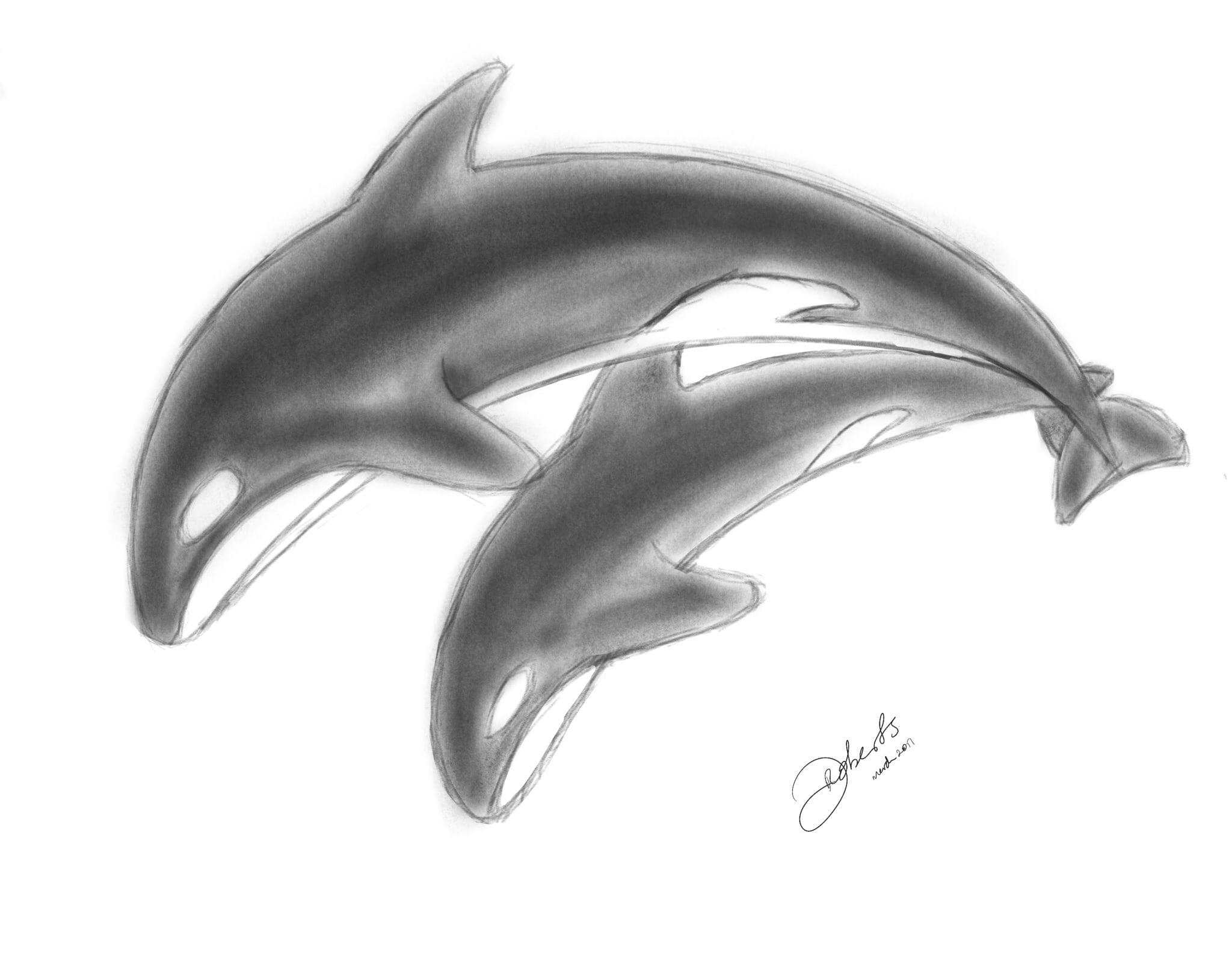 Sketch: Orcas